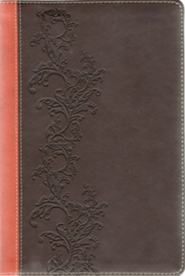 KJV Standard Full Colour Bible (Leathersoft)